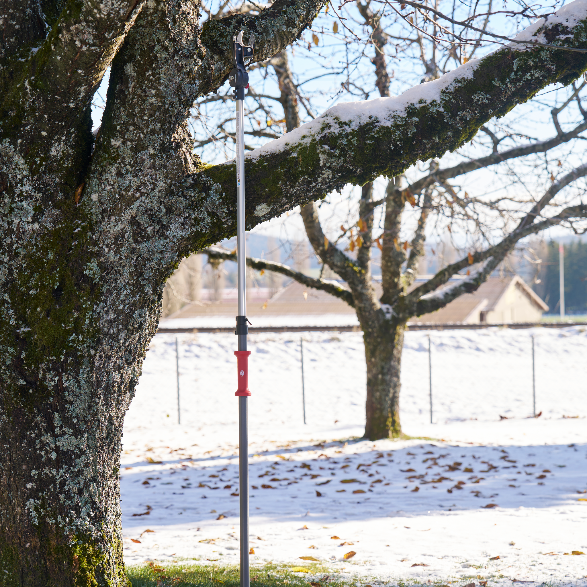 FELCO 290-4M Pole Pruner