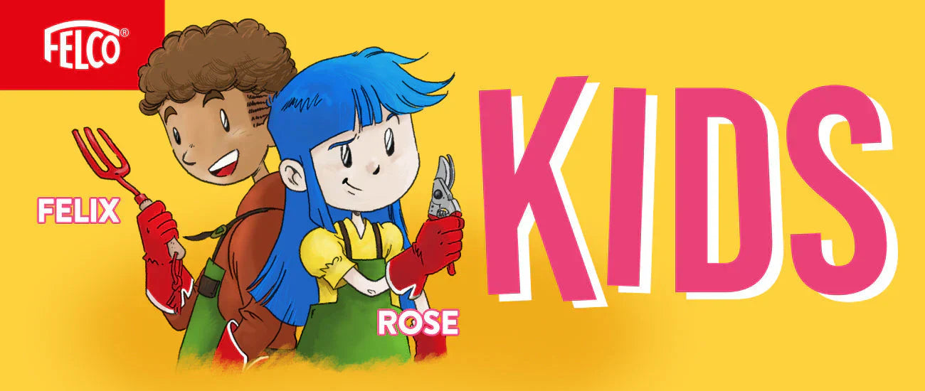 FELCO KIDS: An Inspiring New Initiative