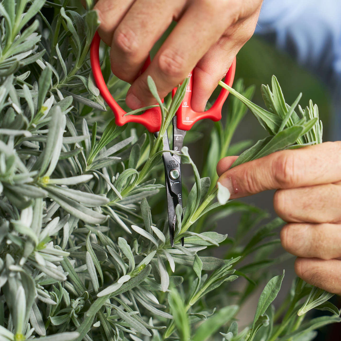 Professional Gardening Supplies