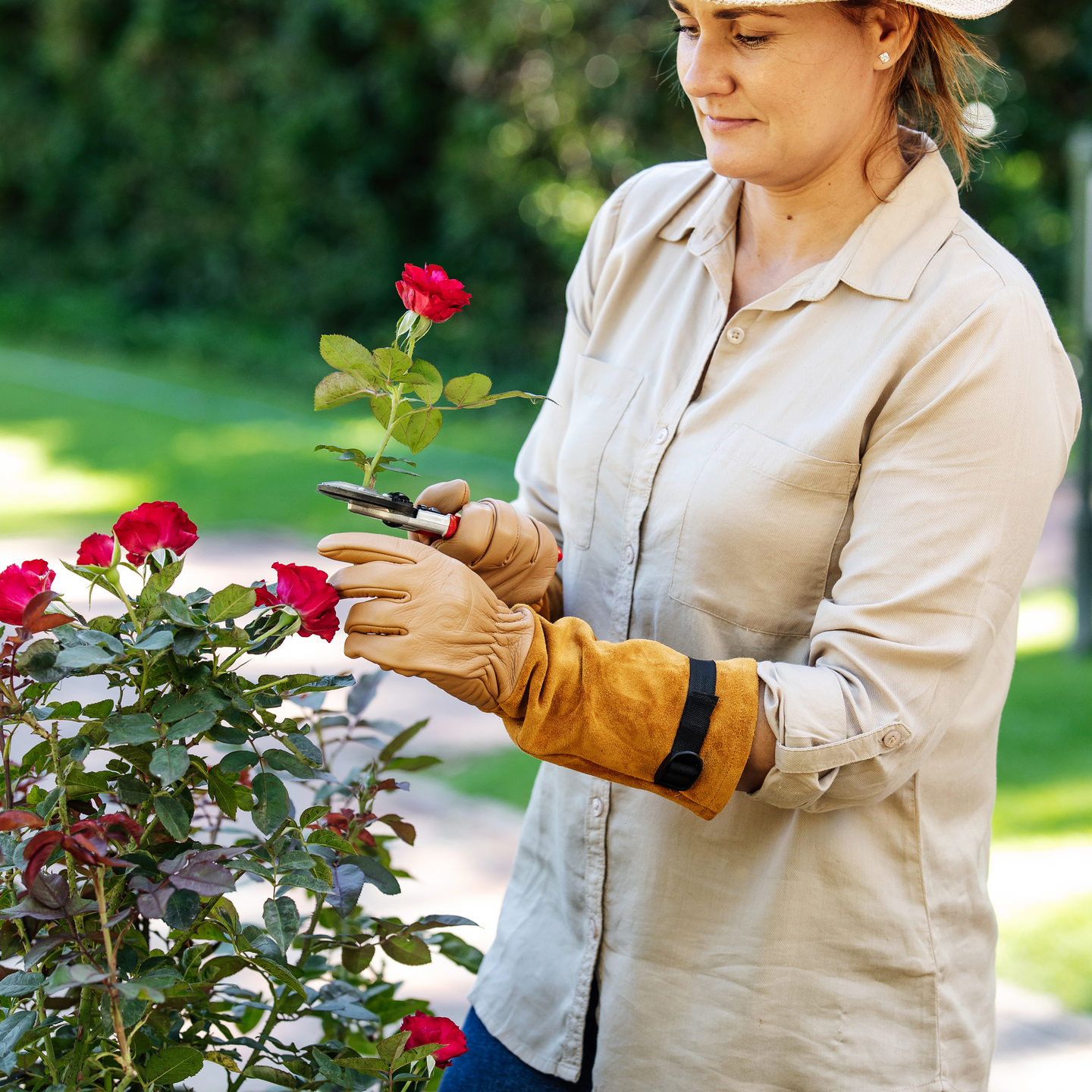Flower Cutting Shears