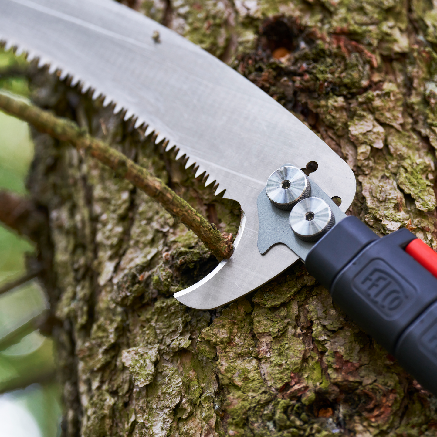 Arborist Supplies
