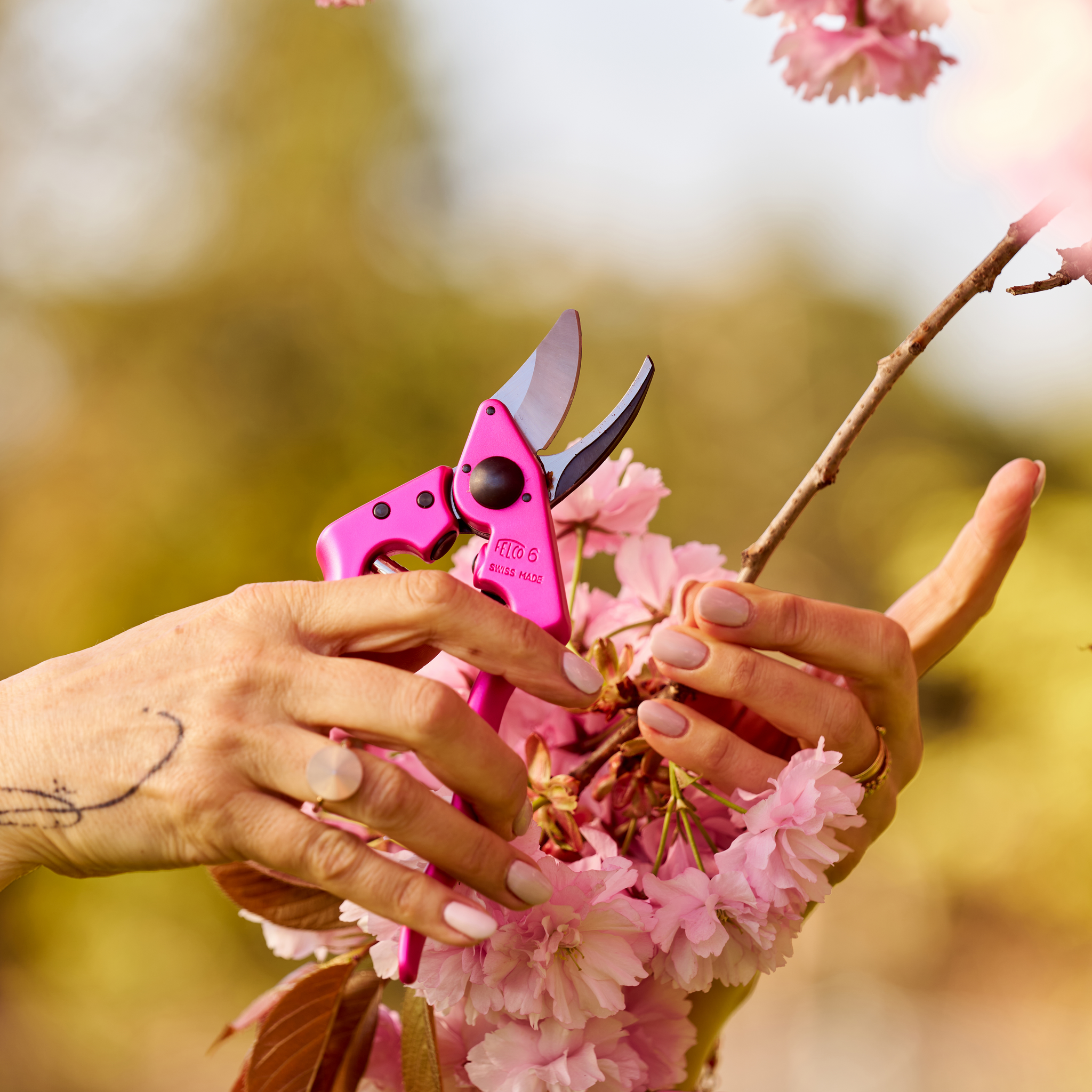 FELCO 6 PINK PASSION - Lifestyle - In Action