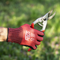 Pruning shears