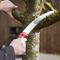 Pruning saws