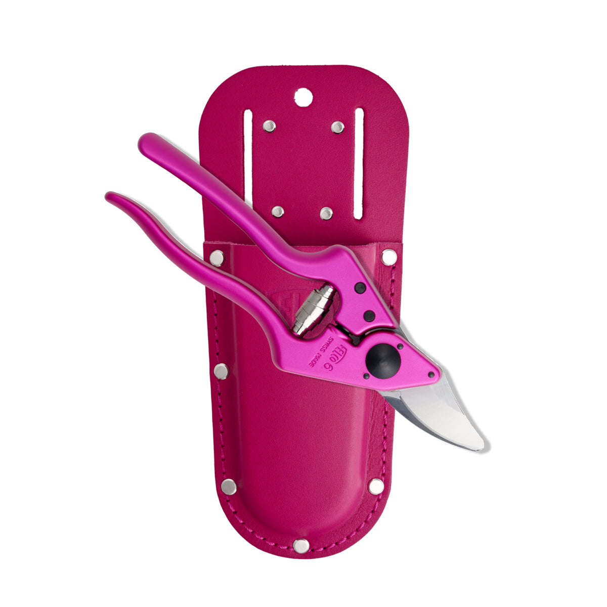 Pink Passion